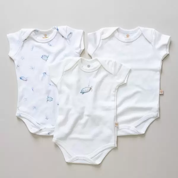 kit body bebê algodão kit body algodao mala para enxoval de bebe menino menina unissex site seguro para comprar frete gratis enxoval para bebe lista de enxoval maternidade dicas de maternidade mamae de primeira viagem recem nasciso puerperio amamentacao duvidas sobre maternidade gravidez parto cesaria parto natural dicas para o sono do bebe dicas de amamentacao primeiros passos do bebe macacão infantil, macacão bebe, malha 100% algodão, verão, baby, site confiável, primavera verão, peças infantis, moda infantil, roupa de criança, conjunto body manga curta infantil, unissex, le coeur, minimalista, Roupas de bebê, Roupas infantis, Moda bebê, Roupas para recém-nascido, loja de bebê online, Conjuntos de bebê, Roupa de bebê a preço acessível, Roupas de bebê em promoção, Roupas de bebê para o verão, Conjuntos de roupas de bebê, Roupas de bebê meia estação, Roupa que cresce junto com o bebê, calça para bebê, Macacão para bebê Camiseta bebê, Roupas de bebê Fáceis de trocar, Body bebê, Calça bebê, macacão com pezinho, Saída de maternidade, Roupa de bebê para sair da maternidade, Roupa para neném, Peças para neném maternidade sapatinho de bebe mantinha de bebe roupa de bebe menino roupa de bebe menina touca para bebe gorro para bebe pecas para aquecer o bebe inverno roupas de inverno para bebe Kit maternidade enxoval bebe completo kit bodyv e calça bebe kit saida de maternidade kit roupas de recem nascido calça bebe suedine algodao roupa de bebe confortavel enxoval bebe roupas infantis roupas para bebes preço calça bebe roupas personalizadas roupas de maternidade roupa de bebe confortaveis calça de bebe unissex